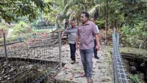 Bupati Merangin Tinjau Perbaikan Wisata Arboretum Rio Alif Dusun Mudo